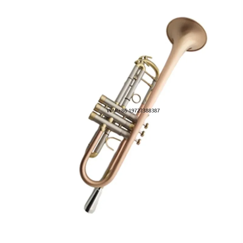 Musical Instrument Manufacturers - Il Produttore Vende Strumenti Musicali di