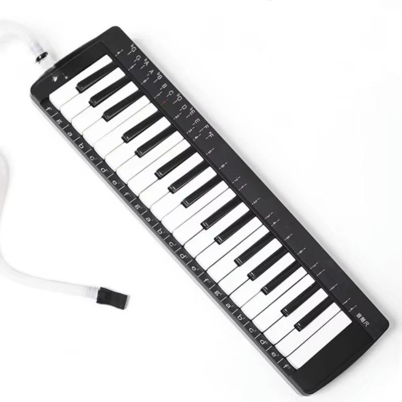 Musical Instrument Set - Set di strumenti musicali professionali Melodica