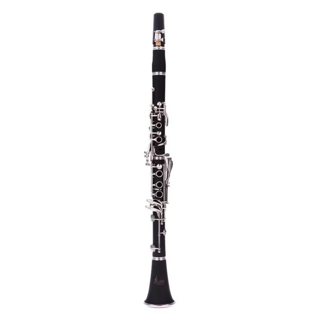 Musical Instrument Manufacturers - Direttamente dal produttore: Clarinetto in Si