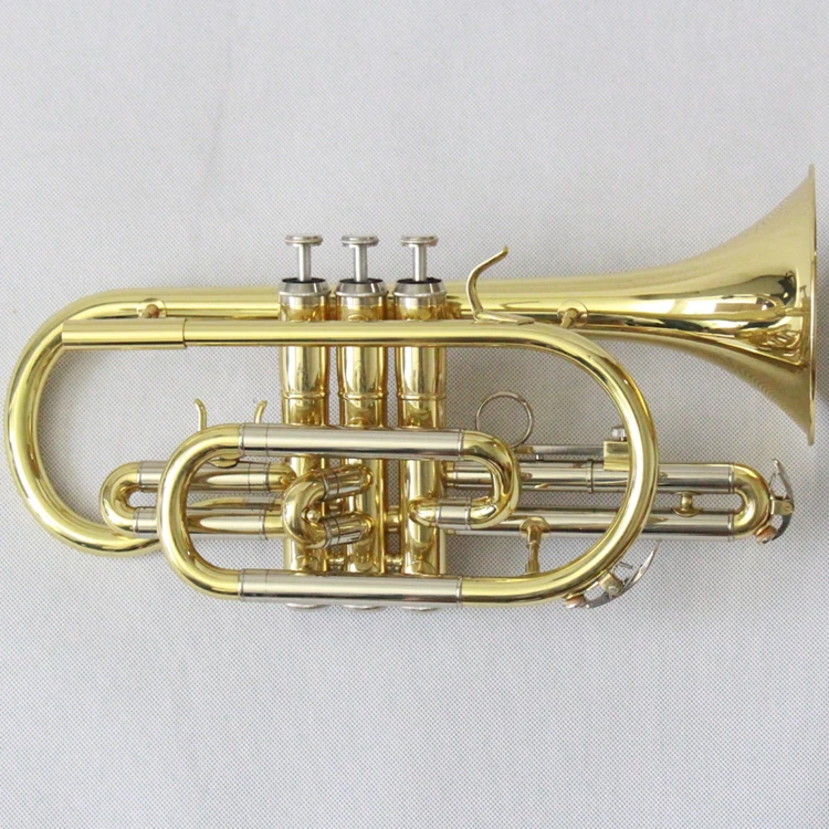 Cornet B Piatto Cornet Strumen - Musical Instrument Cornet recensione e prezzo