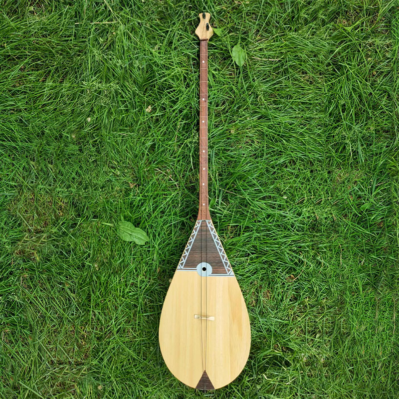 Urumqi Kazak Minoranza Gruppo  - Musical Instrument Groups recensione e prezzo