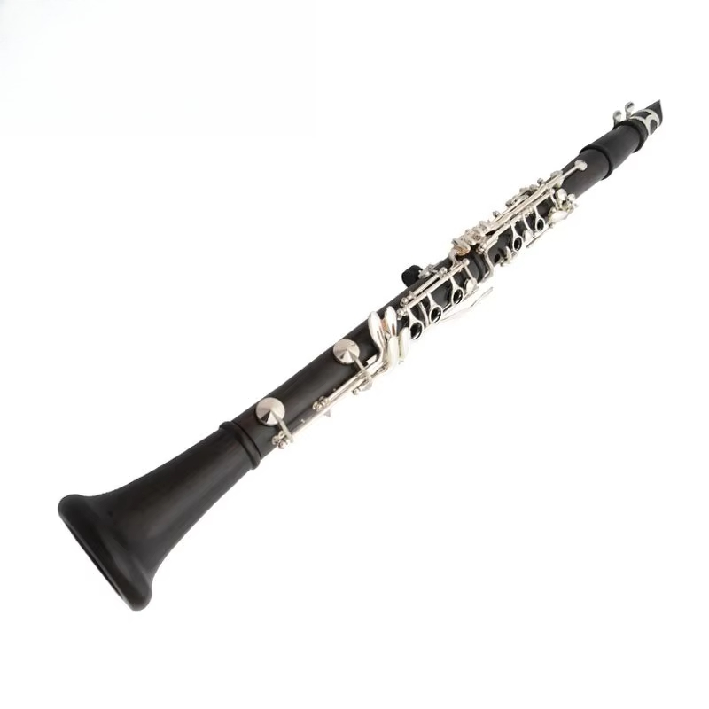 Clarinetto Professionale Ehrma - Musical Instrument Manufacturers recensione e prezzo