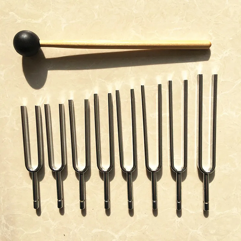 Gruppo di diapason, strumenti  - Musical Instrument Groups recensione e prezzo