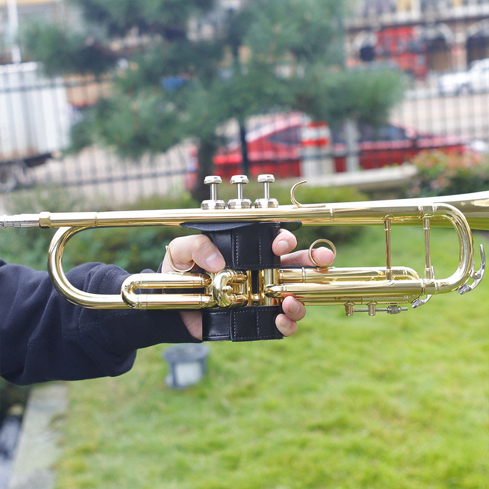 Protezione per Tromba con Ganc - Musical Instrument Cornet recensione e prezzo