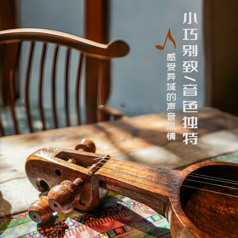 Salangi nepalese, violino alte - Musical Instrument Groups recensione e prezzo