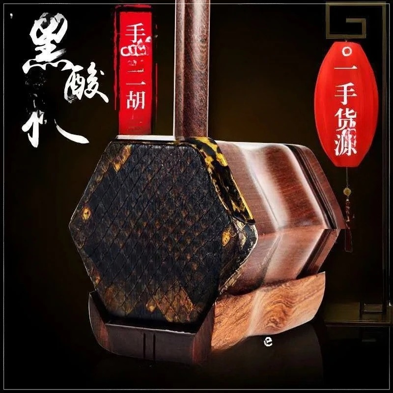 Erhu Nazionale Black Sour Bran - Musical Instrument Manufacturers recensione e prezzo