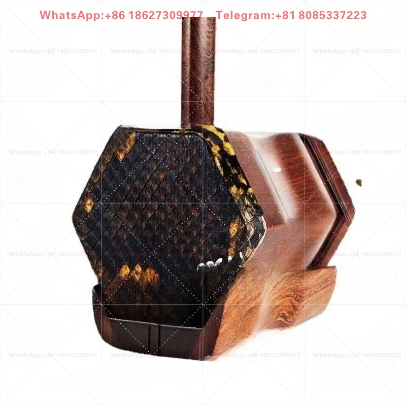 Erhu Nazionale Black Sour Bran - Musical Instrument Manufacturers recensione e prezzo