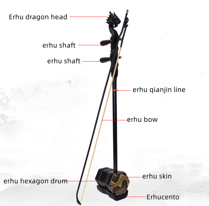 Erhu Cinese a Doppia Corda in  - Musical Instrument Manufacturers recensione e prezzo