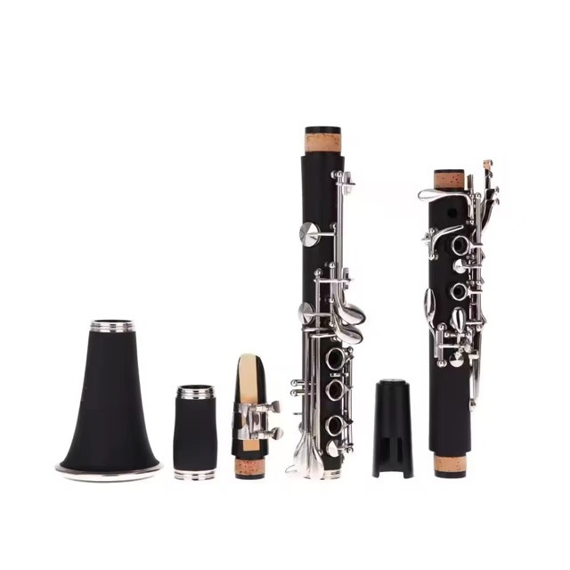 Direttamente dal produttore: C - Musical Instrument Manufacturers recensione e prezzo