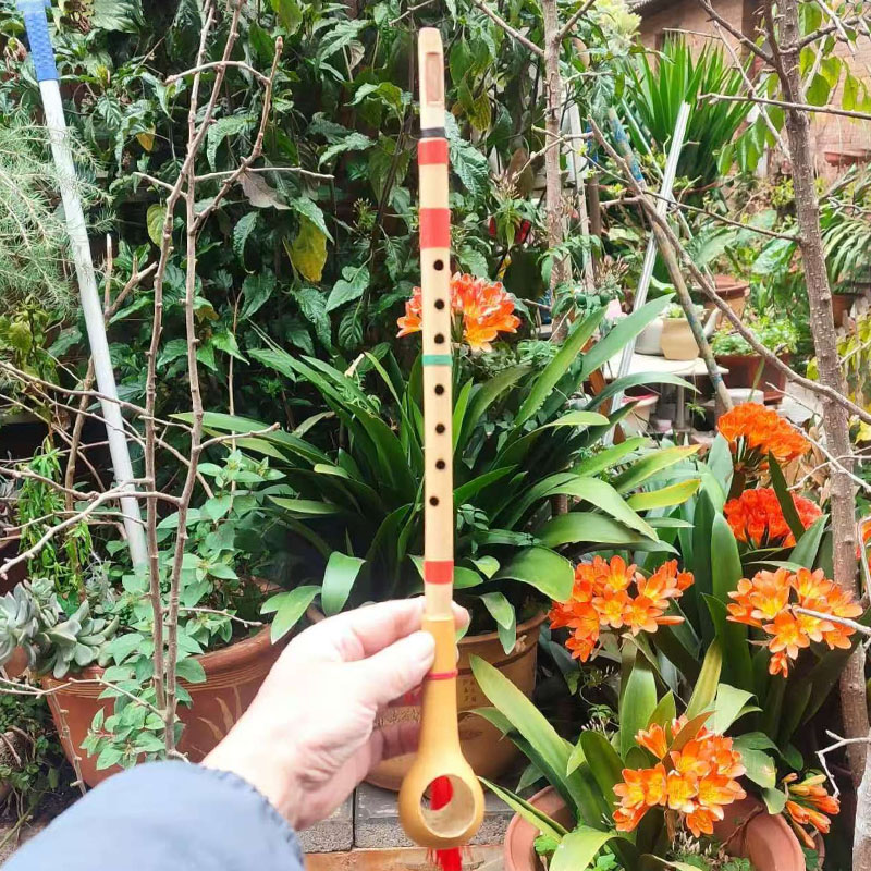 Flauto Dritto Artigianale in B - Musical Instrument Groups recensione e prezzo